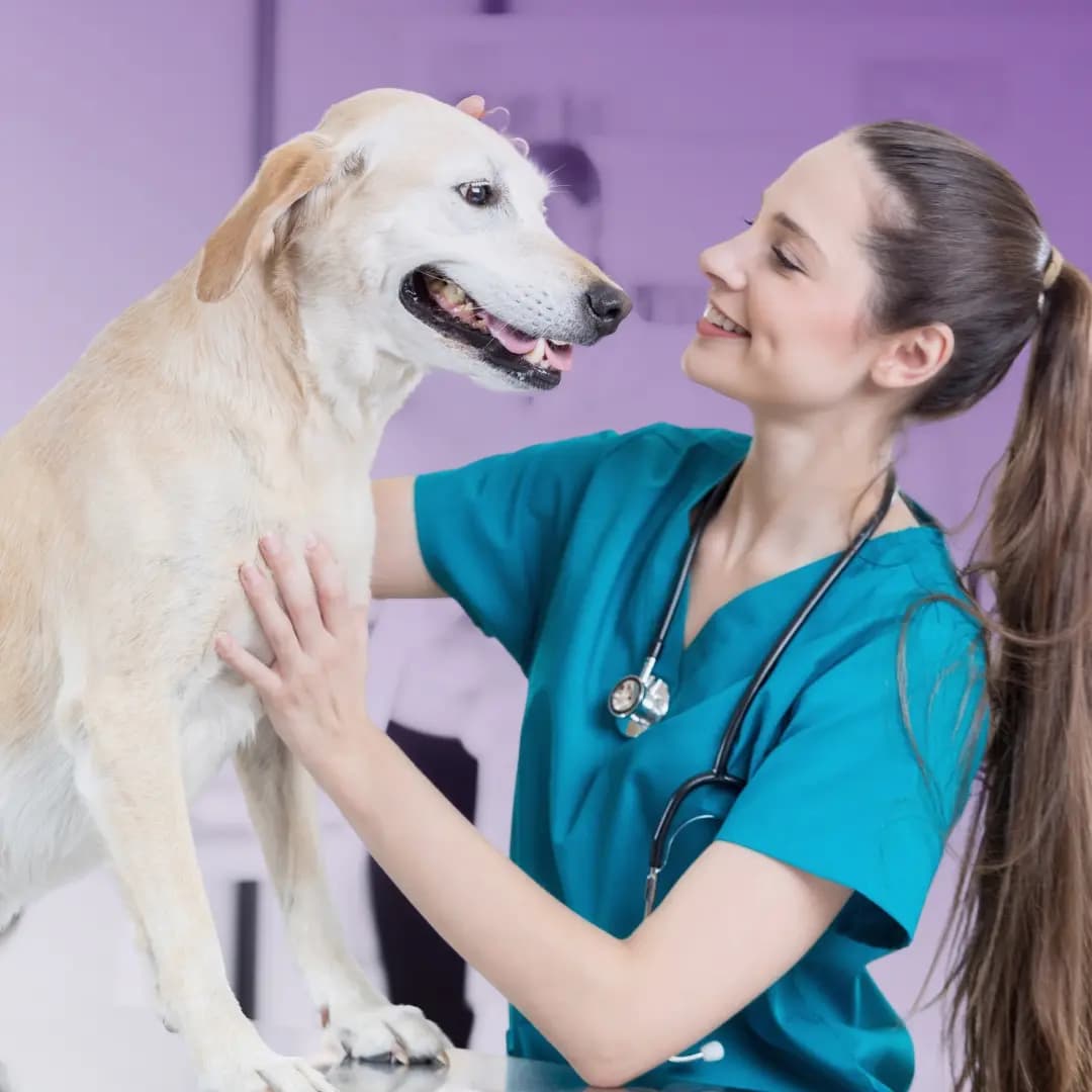 Healthcare Professional