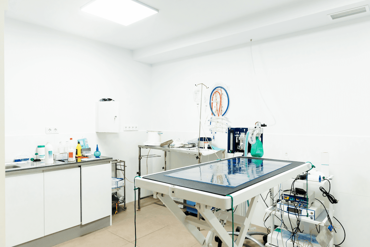 Veterinary Clinics in Miami Use Funnels to Increase Appointment Bookings (2025)